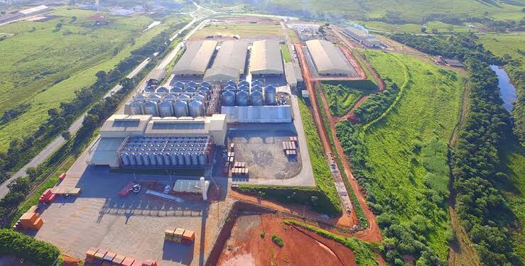 Cooxupé sobe 43 posições e se destaca entre as 50 maiores empresas do Brasil