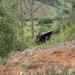 Acidente com ônibus de romeiros deixa seis mortos na divisa entre MG e SP