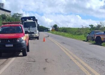 Pedestre morre após ser atropelado por caminhonete na rodovia entre Alfenas e Campos Gerais