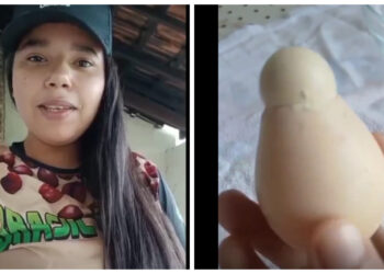 VÍDEO | Fenômeno raro: moradora de Carmo do Rio Claro encontra ovo dentro de outro