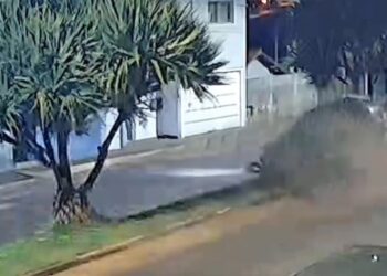 VÍDEO: Jovem fica gravemente ferido após carro atravessar canteiro e atingir árvore em Ilicínea