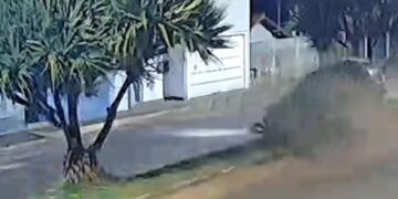 VÍDEO: Jovem fica gravemente ferido após carro atravessar canteiro e atingir árvore em Ilicínea