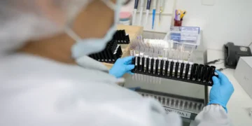 Malária: Anvisa autoriza teste em humanos de vacina 100% brasileira