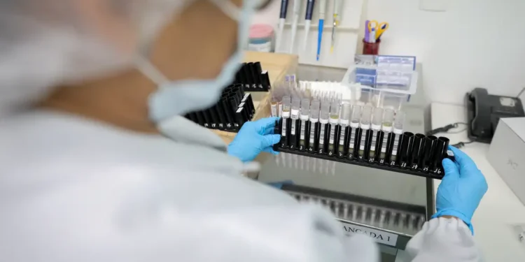 Malária: Anvisa autoriza teste em humanos de vacina 100% brasileira