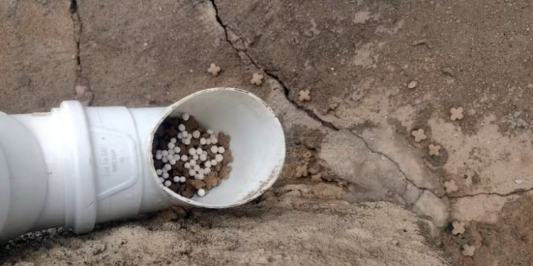 Polícia Civil investiga suspeita de envenenamento de gatos