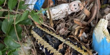 FOTOS: Denúncia aponta descarte irregular de resíduos de exumação no cemitério