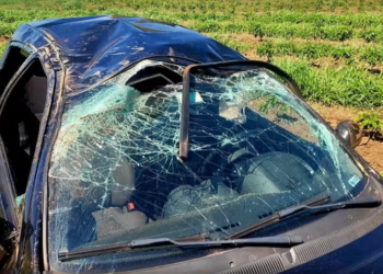 Foto: Helder Almeida