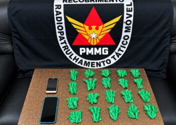 Operação da PMMG apreende 100 pinos de cocaína em Alfenas