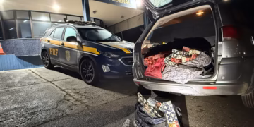PRF apreende quase 90 kg de drogas e prende mulher na Fernão Dias