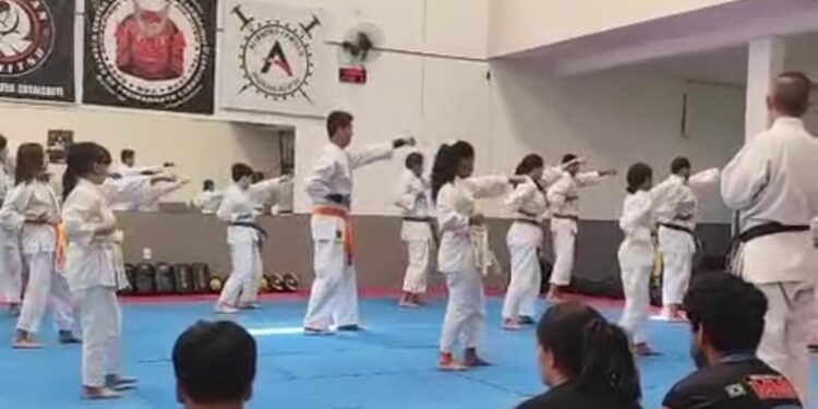 VÍDEO: CT Carmofight comemora 12 anos com treino especial reunindo diferentes modalidades de artes marciais
